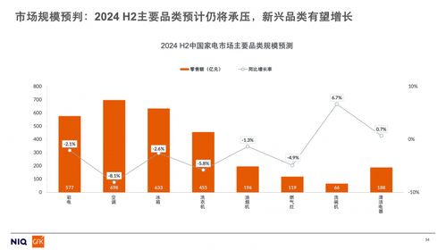 2024上半年家电市场核心品类发展趋势与未来预测——以旅游项目开发与管理为视角
